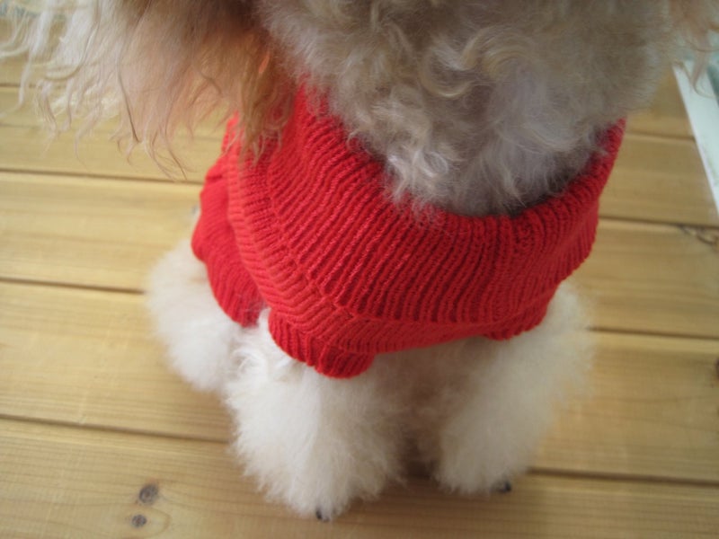 FAMI Dog Clothes Dogs Sweater Soft Puppies Clothing Winter Puppy Sweaters Warm Outfit for Dogs Small XS S Cat Apparel(Red,Medium) - Image 3